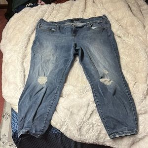 Torrid 26 short distressed jegging
